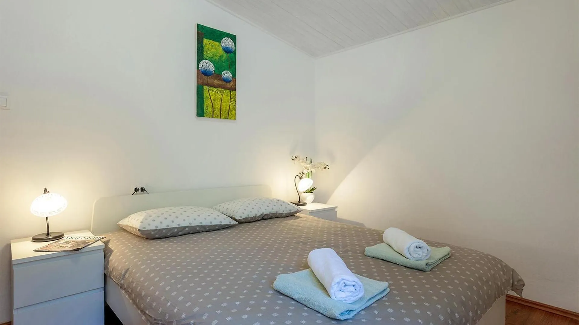 Villa Darko Rovinj 0*,